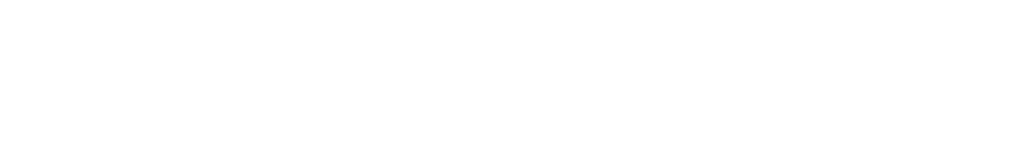 星空易行服务集团